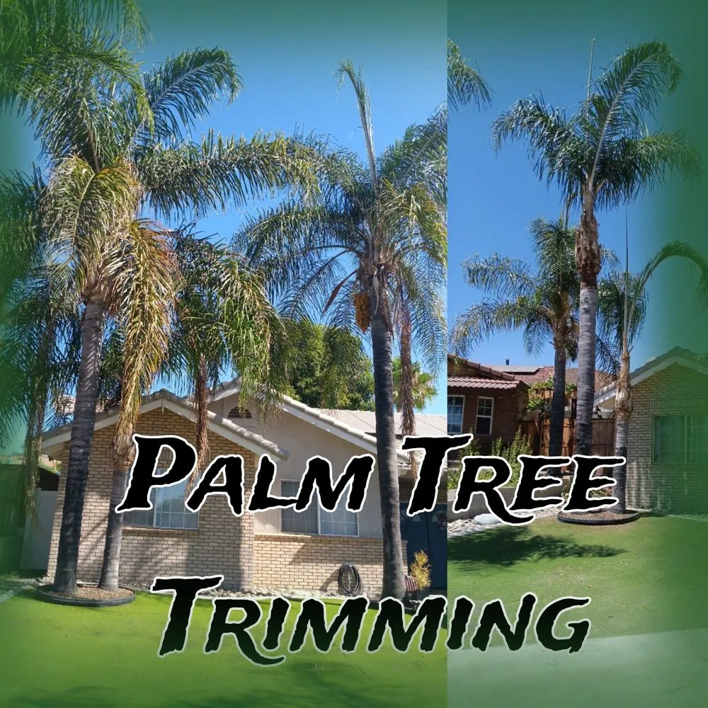 Affordable lawn mowing service with custom design in Temecula, CA by Veleza Terrain & Landscaping