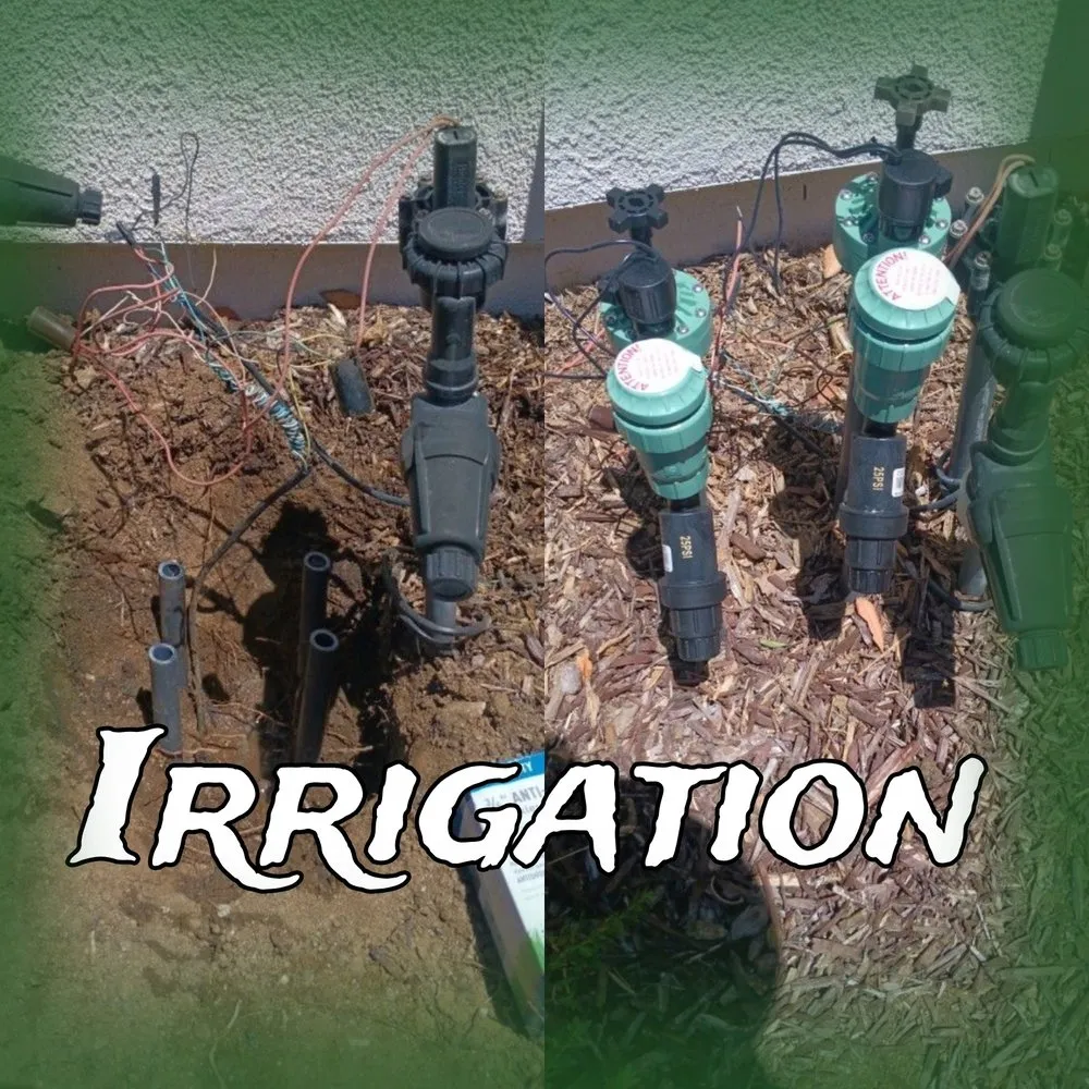 Top-rated lawn care service in Temecula, CA by Veleza Terrain & Landscaping