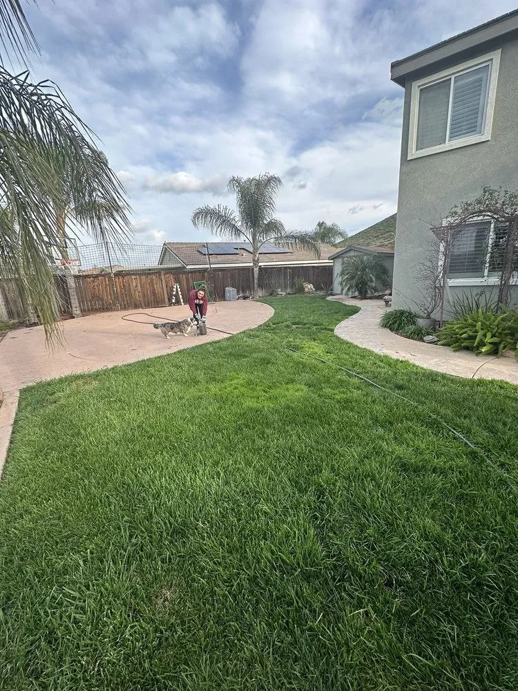 Trusted landscaping services near you in Temecula, CA by Veleza Terrain & Landscaping