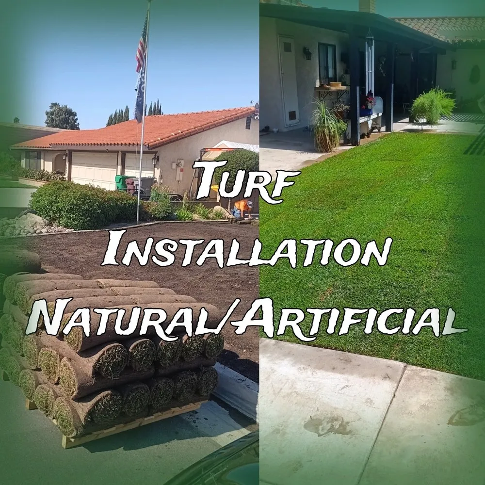 Reliable outdoor landscaping experts serving Temecula, CA - Veleza Terrain & Landscaping