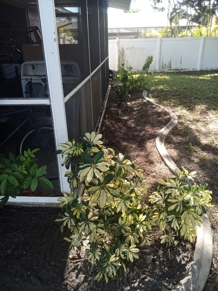 Affordable lawn mowing service near you in Cape Coral, FL by Velezs Lawn Care