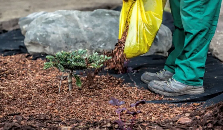 Trusted landscaping services in Lebanon, NJ by VelizMF Landscaping & Tree Service