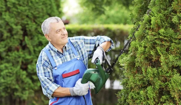 VelizMF Landscaping & Tree Service