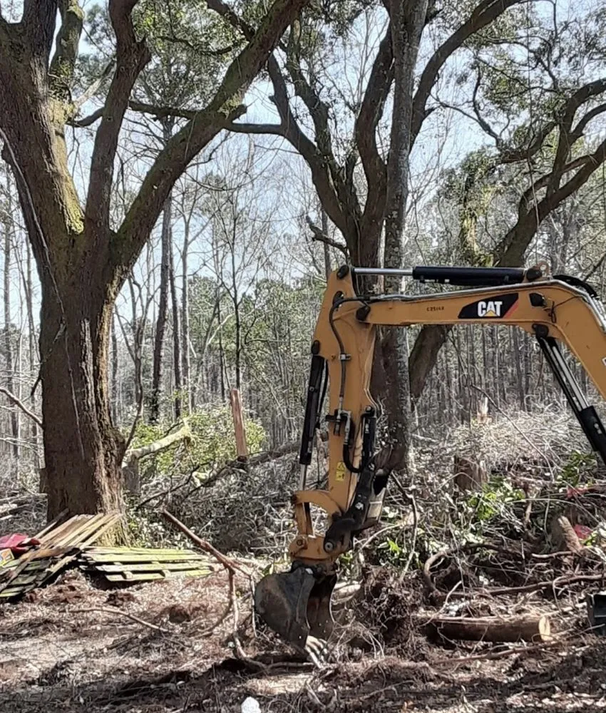 Trusted landscape design for year-round maintenance in Shreveport, LA by Velli Vas