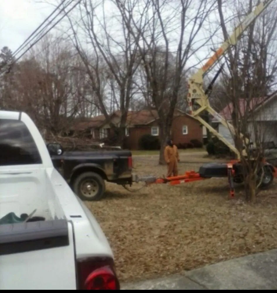Local landscape installation in Shreveport, LA by Velli Vas