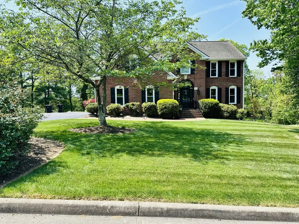 Local yard cleanup service in Roanoke, VA - Velocity Landscaping