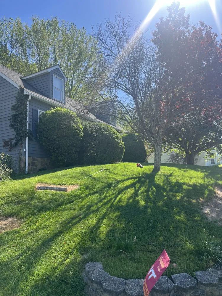 Trusted yard cleanup service for year-round maintenance in Roanoke, VA by Velocity Landscaping