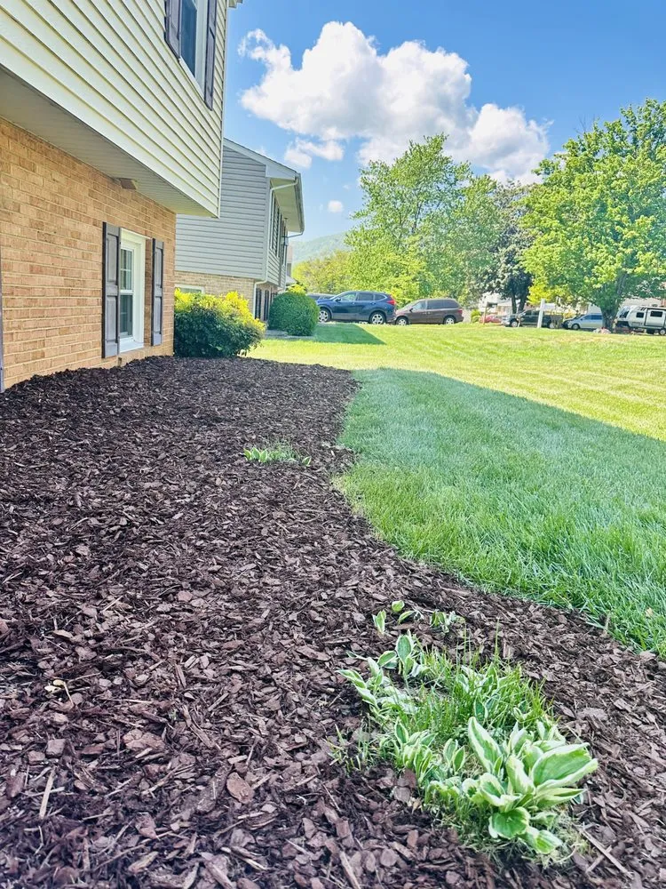 Professional outdoor landscaping experts serving Roanoke, VA - Velocity Landscaping