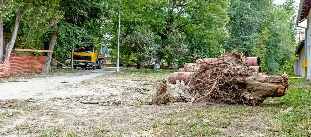Professional landscape installation for homes across Alexandria, VA - Velocity Lawn Care Services