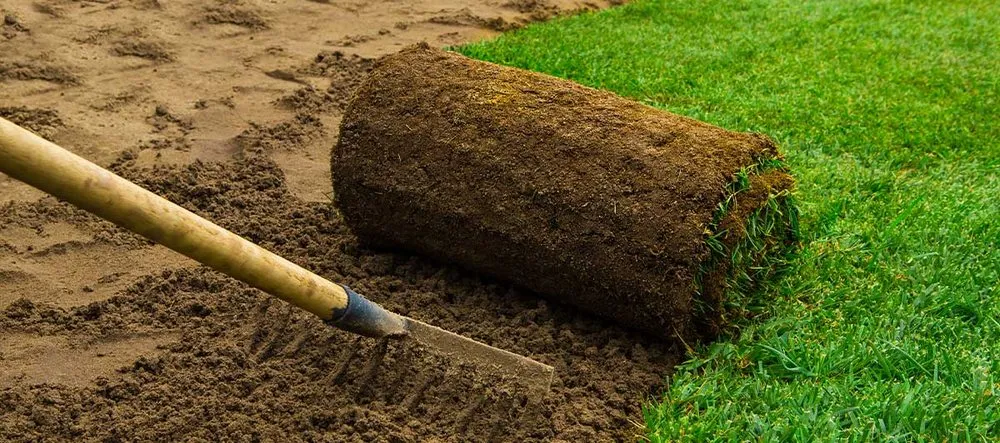 Top-rated landscape design in Alexandria, VA - Velocity Lawn Care Services