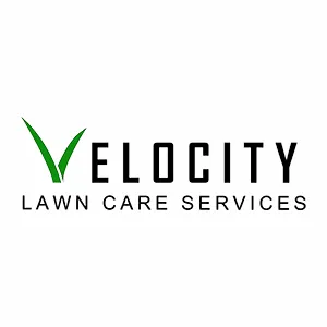 Top-rated landscape design in Alexandria, VA by Velocity Lawn Care Services