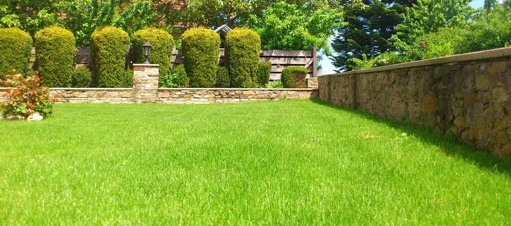 Reliable landscape design for outdoor upgrades across Alexandria, VA - Velocity Lawn Care Services
