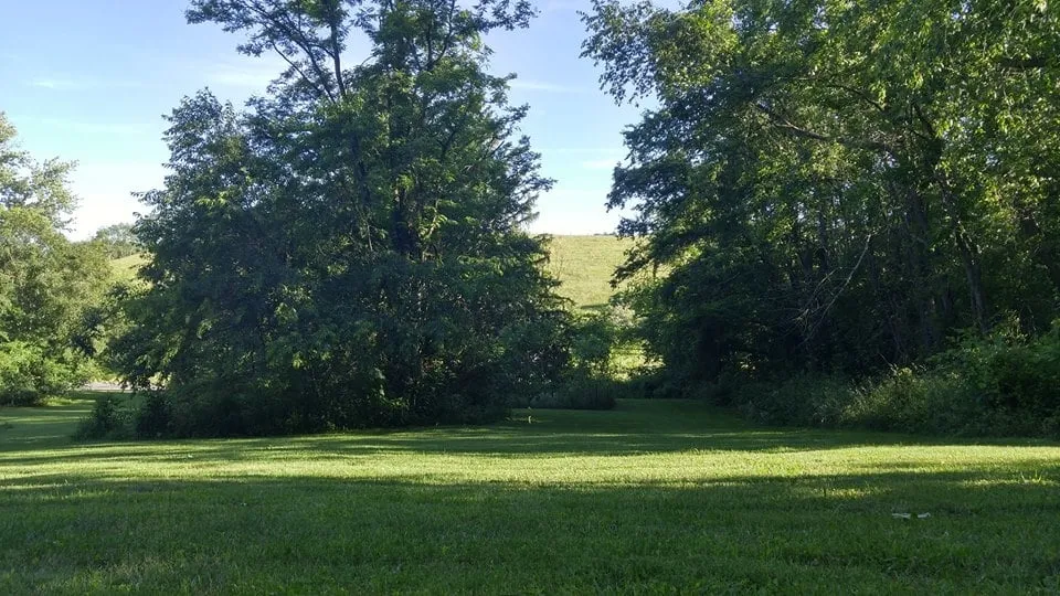 Affordable lawn mowing service for year-round maintenance across Morgantown, WV - Velocity Services