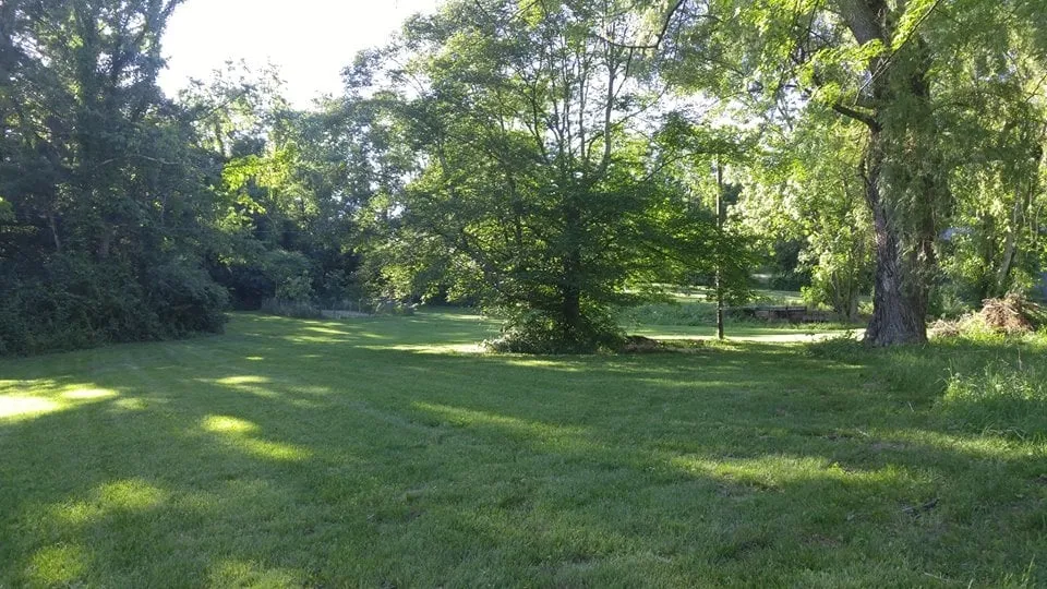 Trusted landscape installation for year-round maintenance across Morgantown, WV - Velocity Services