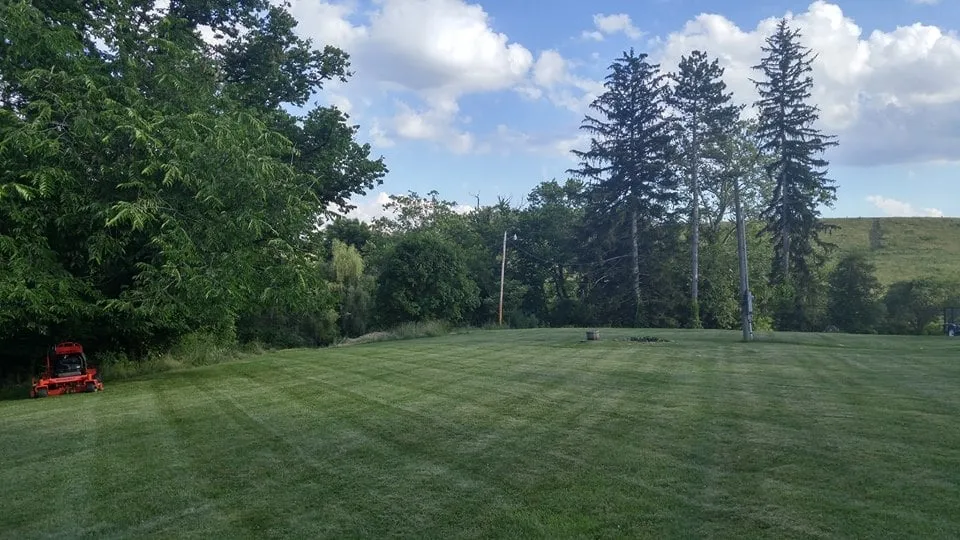 Top-rated residential landscaping experts serving Morgantown, WV - Velocity Services