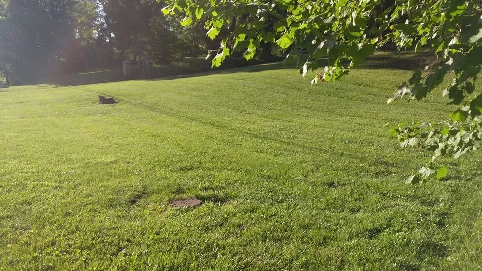 Expert lawn care service in Morgantown, WV by Velocity Services