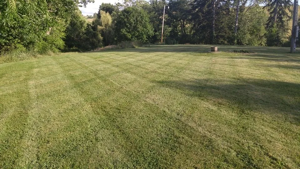 Custom outdoor landscaping with custom design across Morgantown, WV - Velocity Services