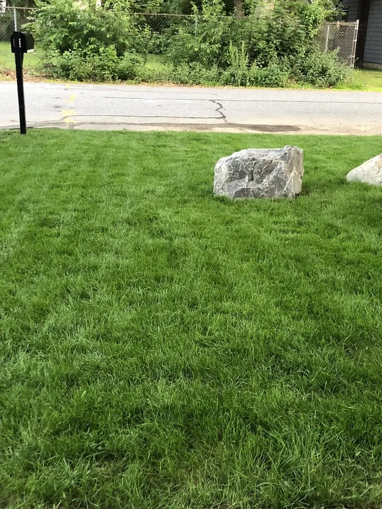Expert yard cleanup service for outdoor upgrades across Wakefield, MA - Velvet Green Organic Lawn Care