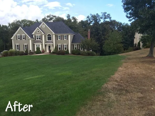 Professional yard maintenance for beautiful yards across Wakefield, MA - Velvet Green Organic Lawn Care