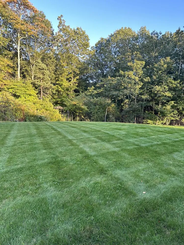 Top-rated yard cleanup service for beautiful yards in Wakefield, MA by Velvet Green Organic Lawn Care