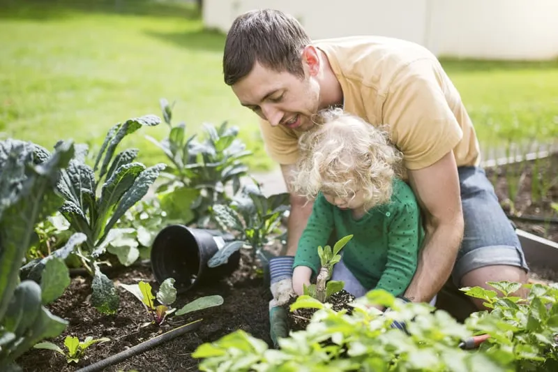 Reliable lawn care service experts serving Wakefield, MA - Velvet Green Organic Lawn Care