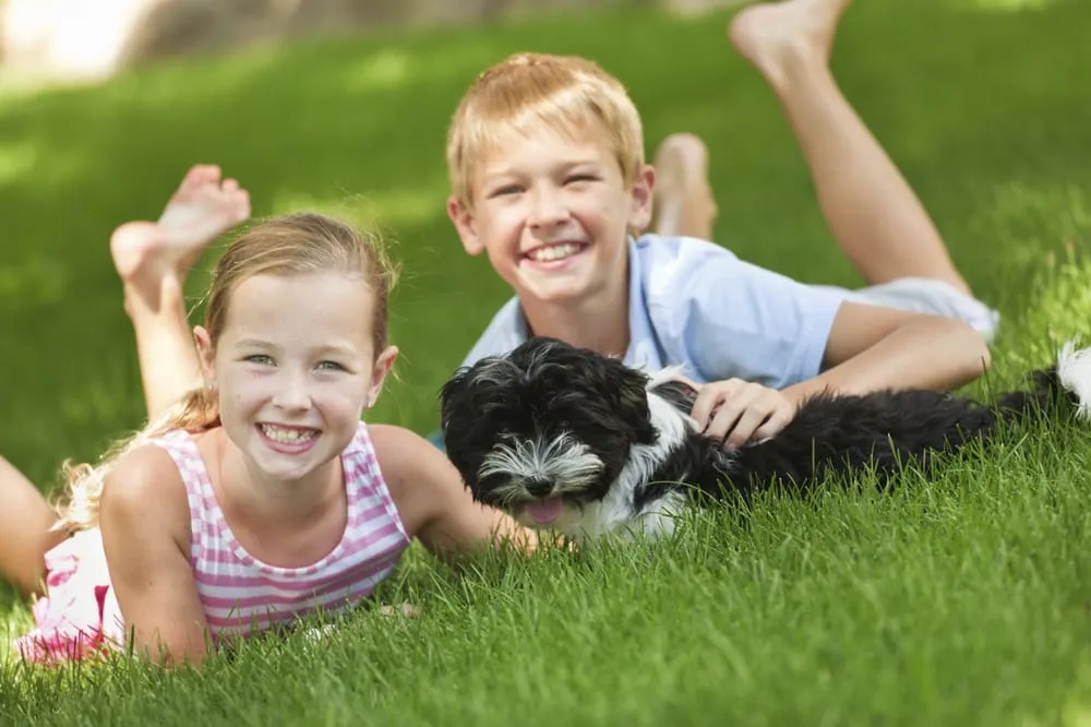 Trusted landscaping services for homes in Wakefield, MA by Velvet Green Organic Lawn Care