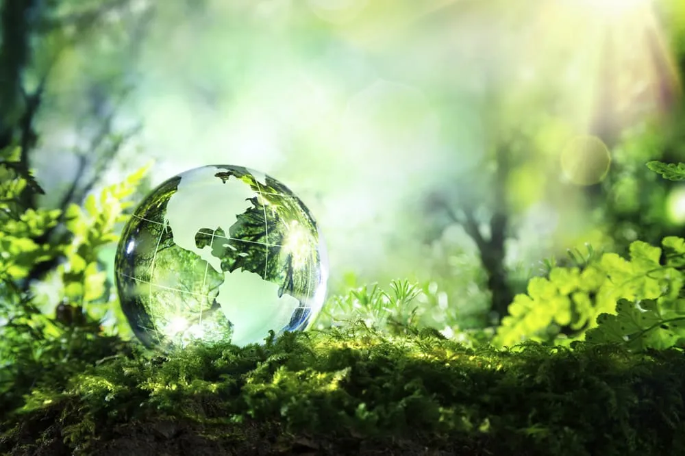 Top-rated landscape installation in Wakefield, MA by Velvet Green Organic Lawn Care