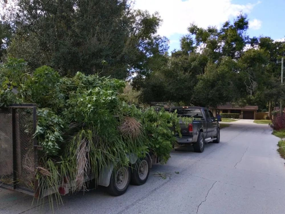 Reliable yard maintenance experts serving Alafaya, FL - Velvet Yard Landscaping