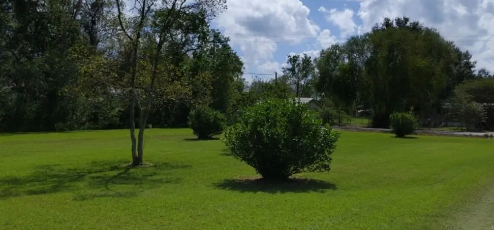 Custom lawn mowing service experts serving Alafaya, FL - Velvet Yard Landscaping
