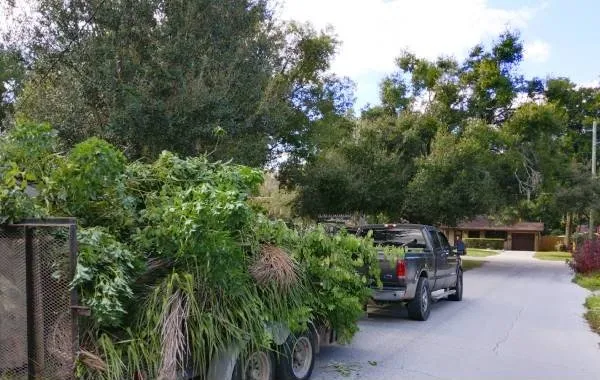 Reliable landscape design with custom design across Alafaya, FL - Velvet Yard Landscaping