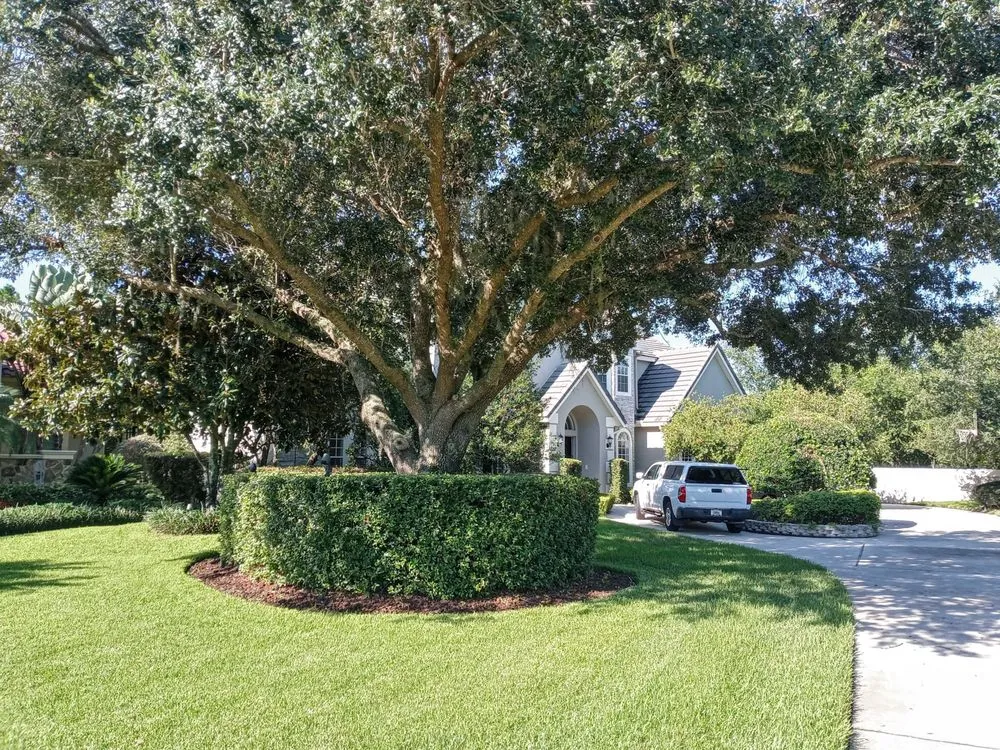 Local residential landscaping experts serving Alafaya, FL - Velvet Yard Landscaping