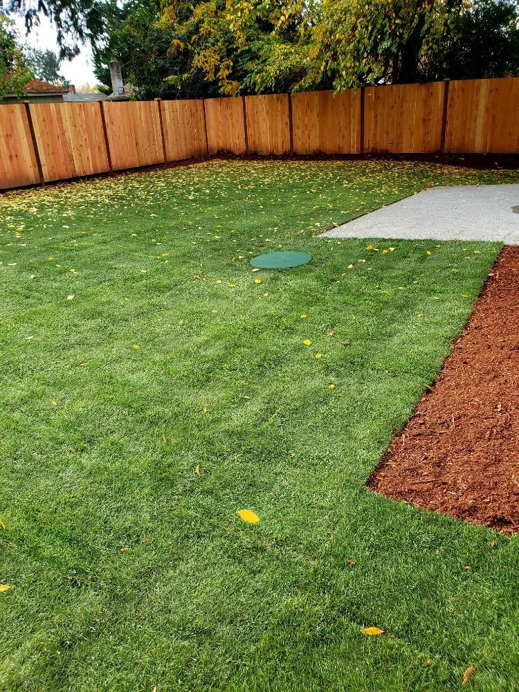 Expert yard maintenance in Spanaway, WA - Velázquez Landscaping