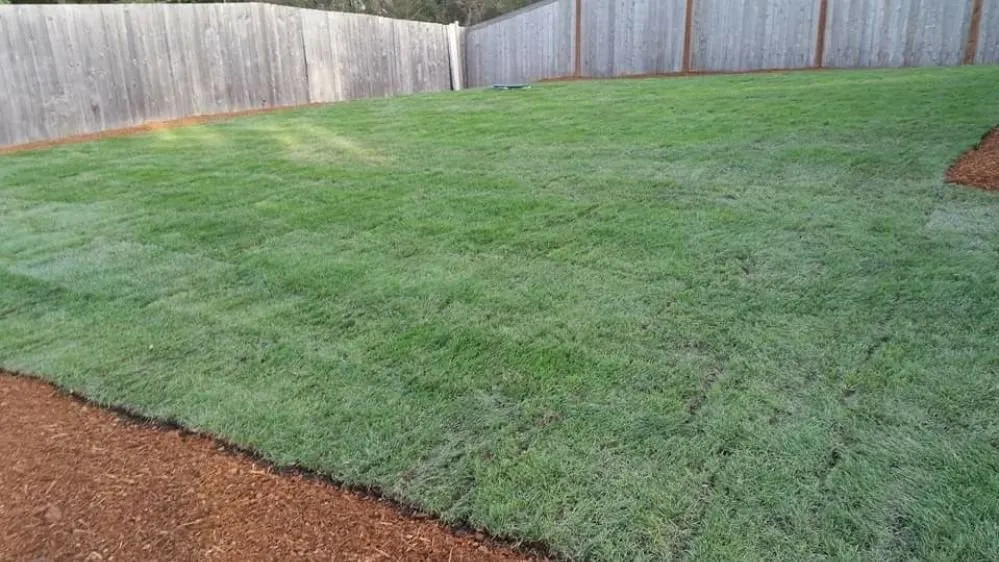 Affordable landscape installation in Spanaway, WA by Velázquez Landscaping