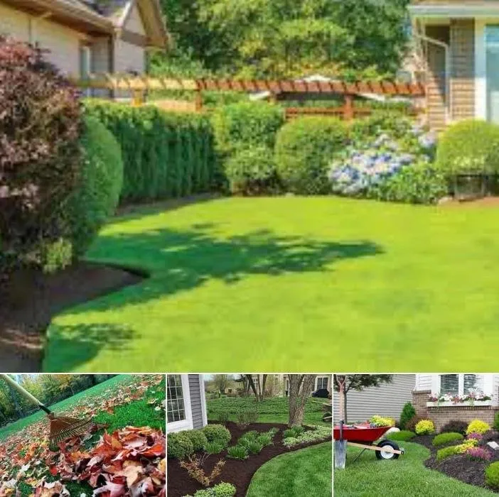 Affordable yard maintenance experts serving Cincinnati, OH - Vemaries