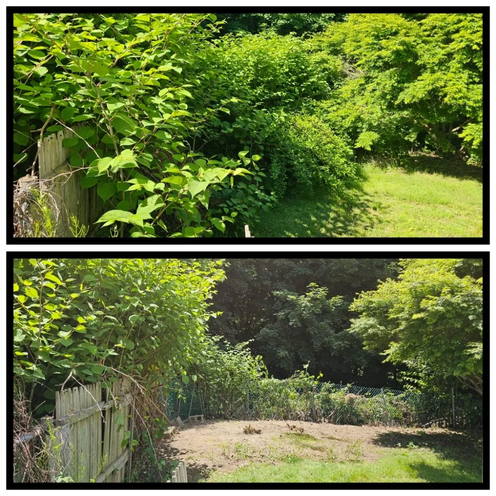 Trusted landscaping services in Mechanic Falls, ME by Venable And Sons