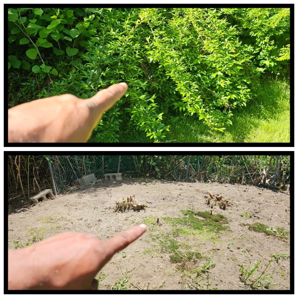 Professional landscaping services in Mechanic Falls, ME - Venable And Sons