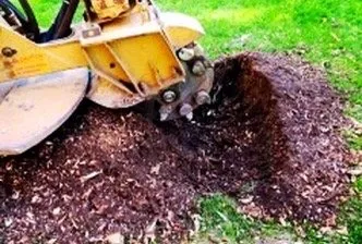 Top-rated residential landscaping experts serving Bakersfield, CA - Venable's Tree Service