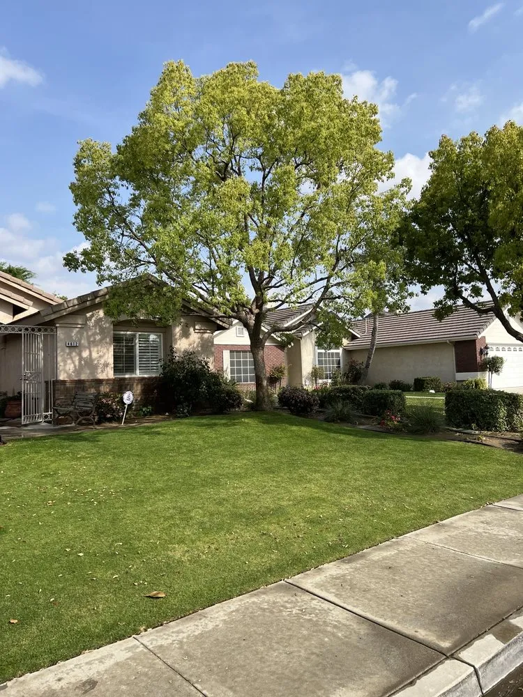 Trusted lawn care service experts serving Bakersfield, CA - Venable's Tree Service