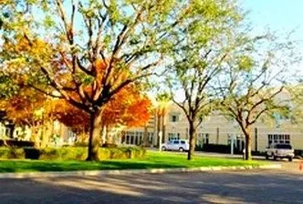 Trusted residential landscaping in Bakersfield, CA - Venable's Tree Service