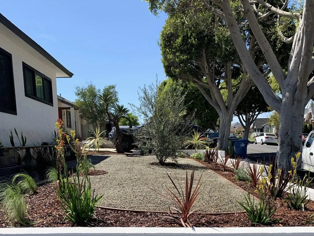 Expert outdoor landscaping in Los Angeles, CA - Vences Gardening & Landscape