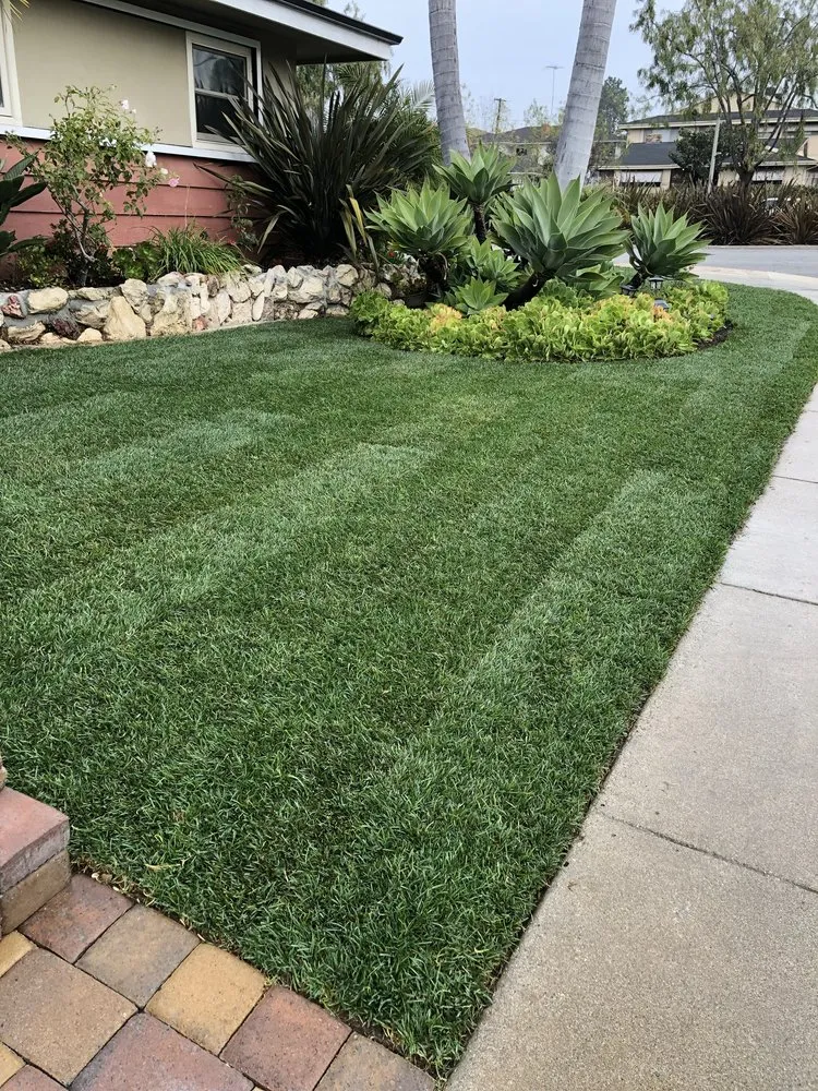 Custom landscaping services near you in Los Angeles, CA by Vences Gardening & Landscape