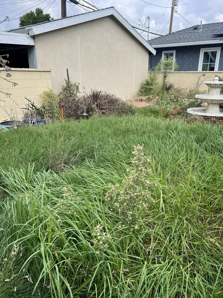 Professional landscape installation with custom design in Los Angeles, CA by Vences Gardening & Landscape