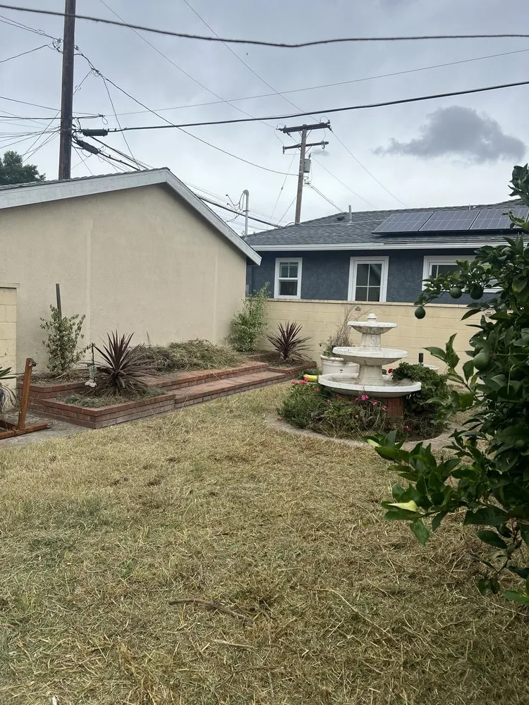 Expert lawn care service in Los Angeles, CA - Vences Gardening & Landscape