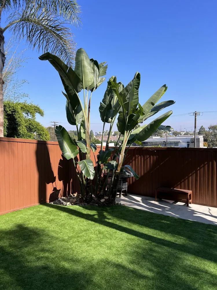 Top-rated landscaping services for homes in Los Angeles, CA by Vences Gardening & Landscape