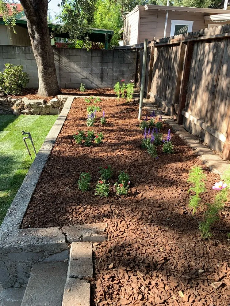 Reliable landscaping services with custom design in Los Angeles, CA by Vences Gardening & Landscape