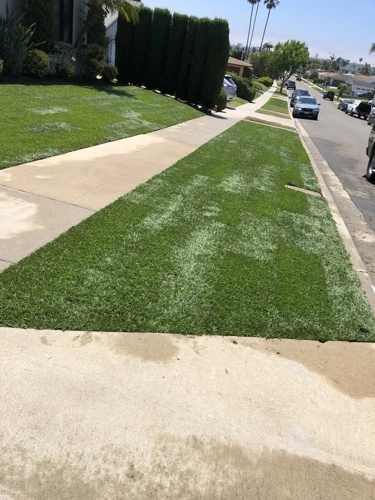 Professional lawn care service for homes across Los Angeles, CA - Vences Gardening & Landscape