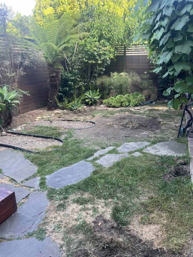 Affordable landscaping services experts serving Los Angeles, CA - Vences Gardening & Landscape