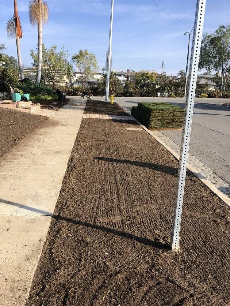 Reliable yard maintenance in Los Angeles, CA by Vences Gardening & Landscape