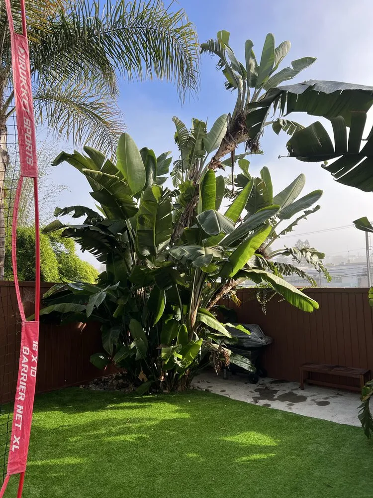 Top-rated landscape installation in Los Angeles, CA by Vences Gardening & Landscape