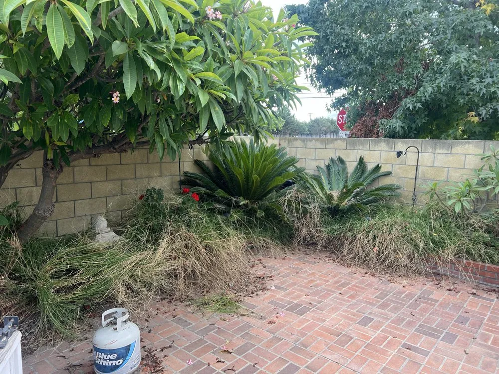 Reliable lawn care service experts serving Los Angeles, CA - Vences Gardening & Landscape